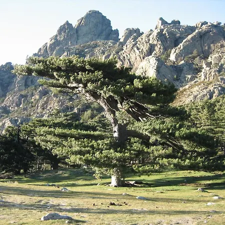 Διαμέρισμα T2 Bavella Vista
