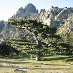 公寓 T2 Bavella Vista