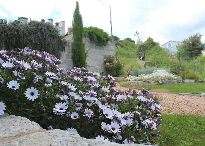 Apartment T2 Bavella Vista