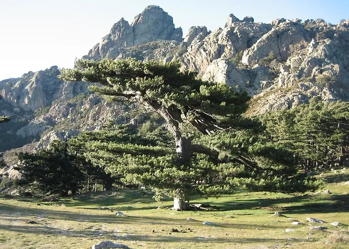 Apartment T2 Bavella Vista